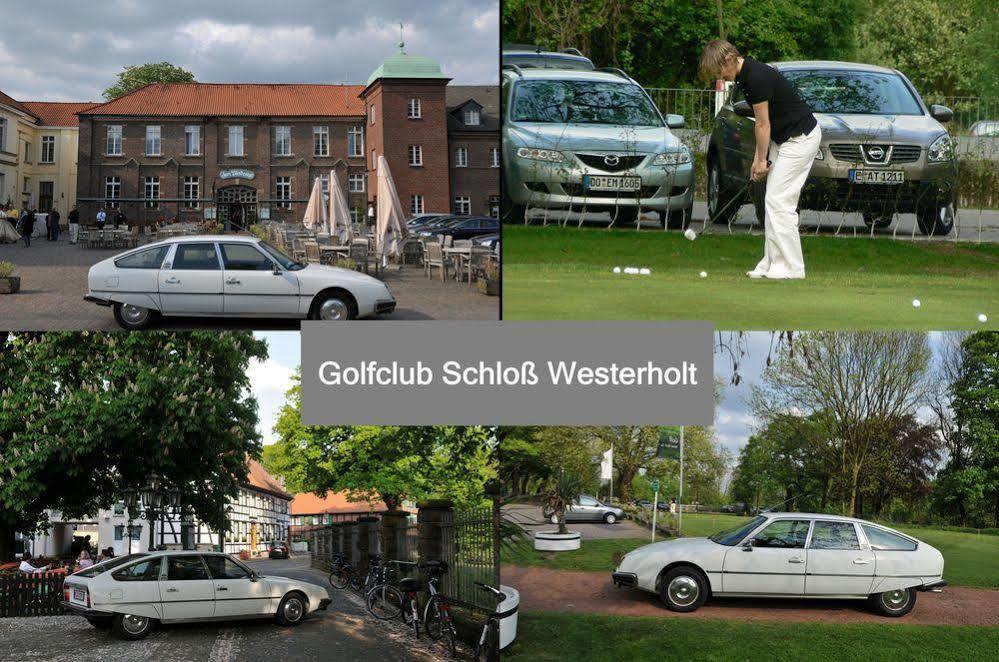 Hertenflats - Rooms & Apartments - Kreis Recklinghausen هيرتين المظهر الخارجي الصورة